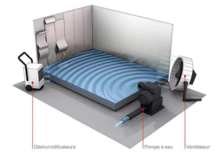 Rénovation après sinistre à Poitiers